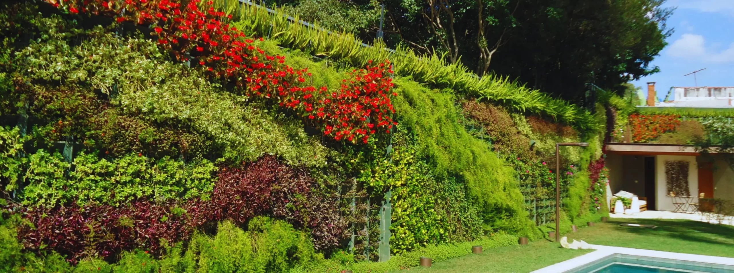 Jardim vertical: a tendência de decoração sustentável que você precisa conhecer